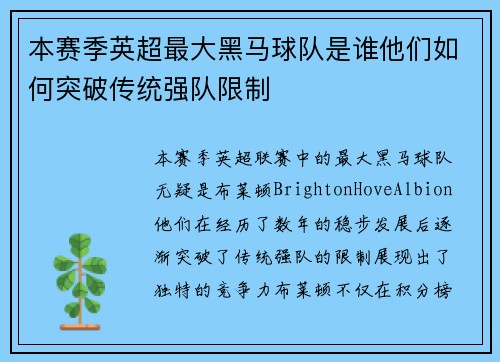 本赛季英超最大黑马球队是谁他们如何突破传统强队限制