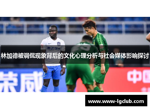 林加德被调侃现象背后的文化心理分析与社会媒体影响探讨