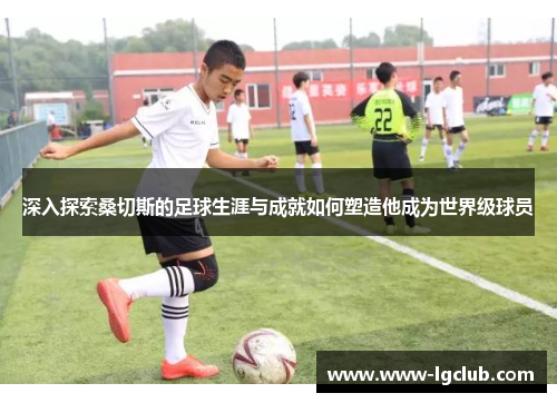 深入探索桑切斯的足球生涯与成就如何塑造他成为世界级球员 深入探索桑切斯的足球生涯与成就如何塑造他成为世界级球员