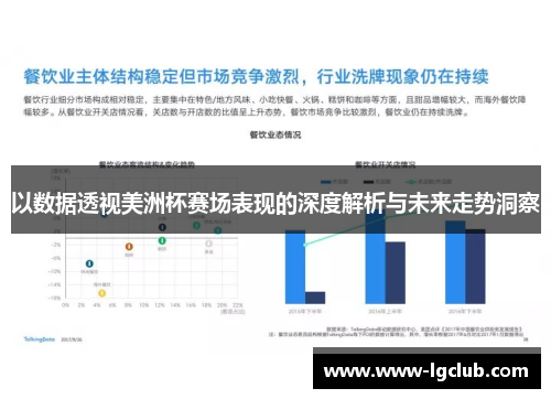 以数据透视美洲杯赛场表现的深度解析与未来走势洞察