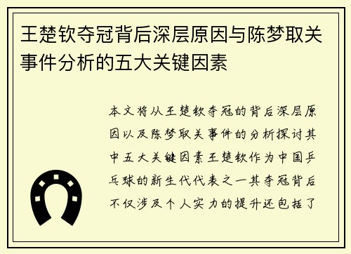 王楚钦夺冠背后深层原因与陈梦取关事件分析的五大关键因素